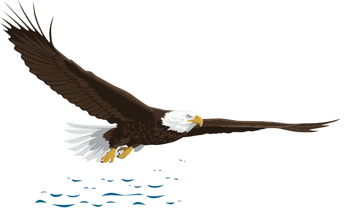 Wild Eagle Lodge Logo