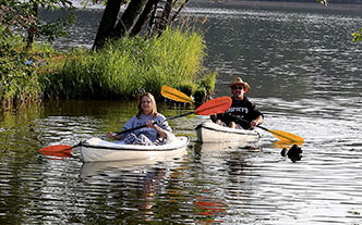 Fall Activities Featured Image